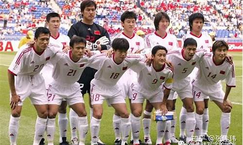 2002足球世界杯_2002足球世界杯中国队